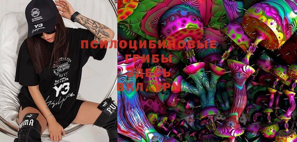a pvp Медвежьегорск