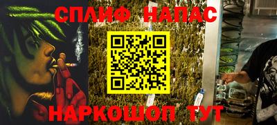 дживик Бийск