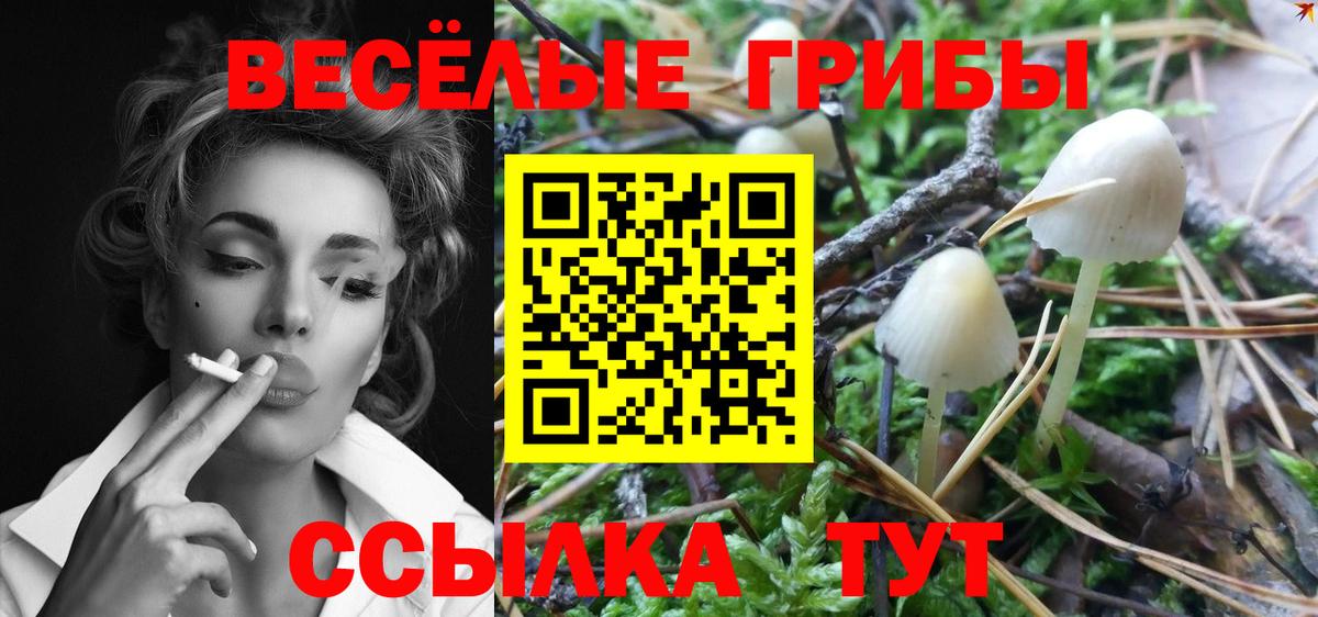 Галлюциногенные грибы мицелий  Псилоцибиновые грибы мухоморы  Дзержинск 