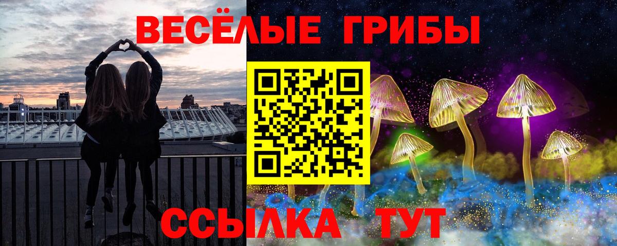 Дзержинск  Псилоцибиновые грибы Magic Shrooms  Галлюциногенные грибы GOLDEN TEACHER  Вход с VPN 